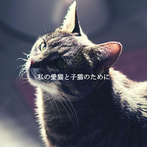 Trio Jazz Soundtrack for Chilly Evening