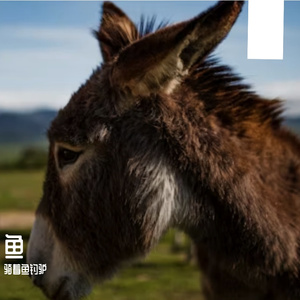 冷巷