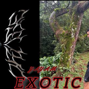 EXOTIC