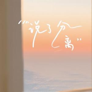 说了分离 (春城 Remix)