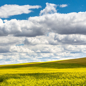 是谁发明的过年啊