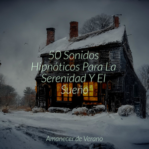 Reflejos de la Brisa del Mar