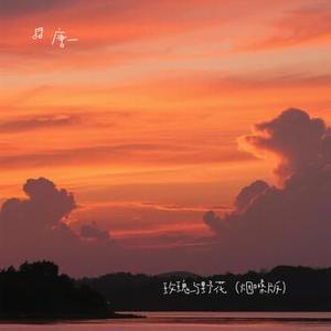 玫瑰与野花