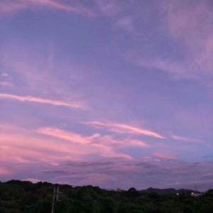 全世界最好的你