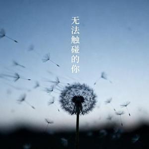 无法触碰的你
