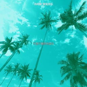 优美阿鲁巴岛器乐