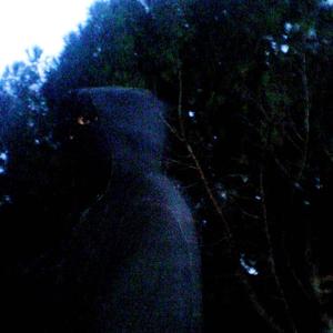 PSYCHO (Archive 2k24)