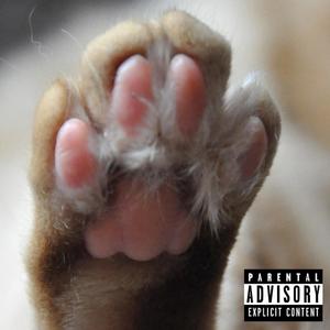 I'M NOT WHO YOU THOUGHT I WAS