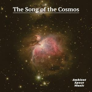 On the Road to the Stars