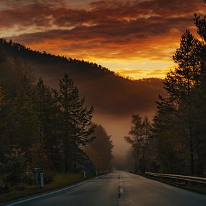 O Senhor da colheita