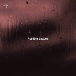 Dreamy Forest Canopy