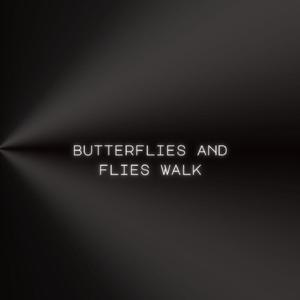 Butterflies and Flies Walk