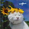 Marcel - Sunflower