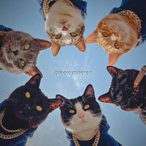 Procrastinator (feat. blonde & Dante Lardin)