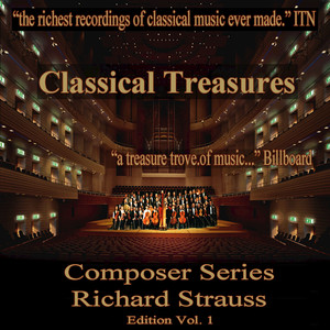 Don Quixote, Op. 35, "Fantastic Variations for Cello, Viola, and Orchestra": Variation V