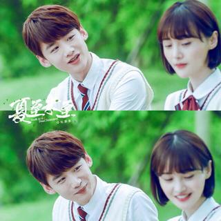 夏至未至 电视剧原声带