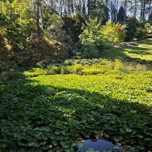 春风拂过你发捎