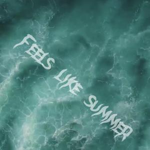 Feels Like Summer (feat. Trill Gates) (Slowed & Verbed Version)