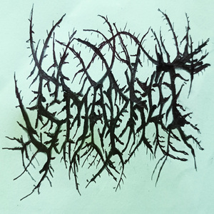 Saksi bisu pembantaian