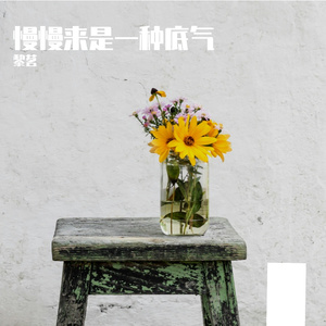 慢慢来是一种底气（流行版）