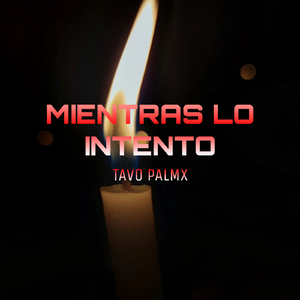 MIENTRAS LO INTENTO