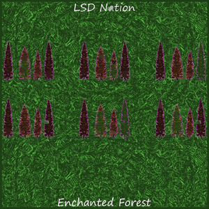 Enchanted Forest