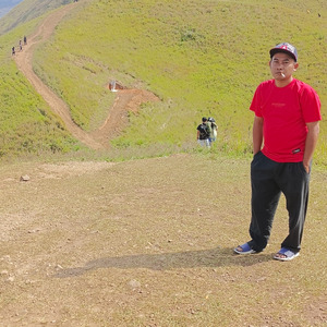 Jeruk Kok Makan Jeruk