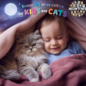 Meow is in the air, shooting lullaby