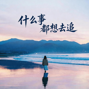 什么事都想去追