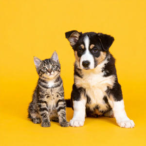 Descansando Junto A La Ventana, Rimas Fluyendo