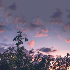 如果我说我真的爱你（翻自 周传雄）