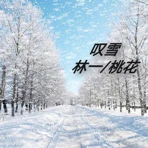 叹雪