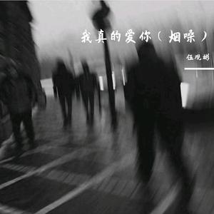 我真的爱你（原唱：告五人）