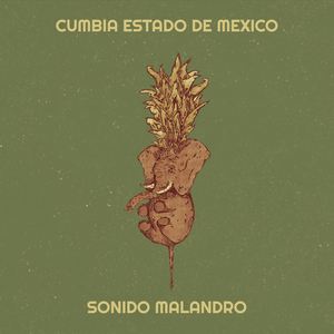 Cumbia Estado De Mexico