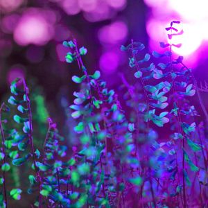 抚慰的安静的时光回忆