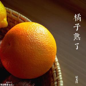 橘子熟了