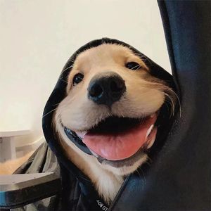 江归江山归山（新版）