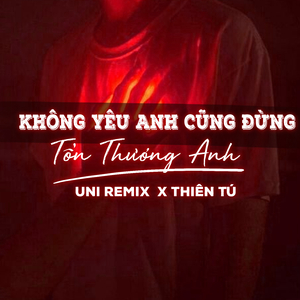 Không Yêu Anh Cũng Đừng Tổn Thương Anh