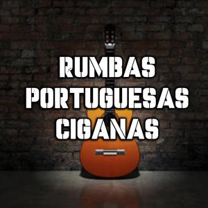 rumbas ciganas josele temamazo oleee que ritmo buenooo
