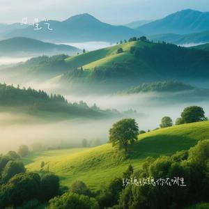 玫瑰玫瑰你在哪里