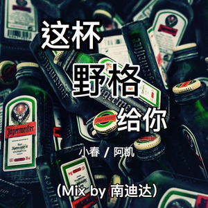 这杯野格给你（Mix by 南迪达）