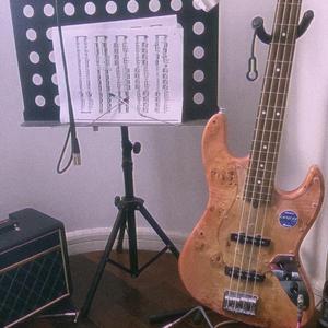 又是一年夏天我还是一个贝斯手