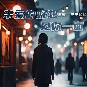 亲爱的好想见你一面