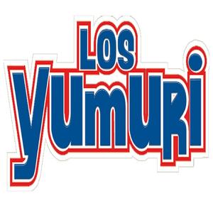 LLAMADA A LARGA DISTANCIA