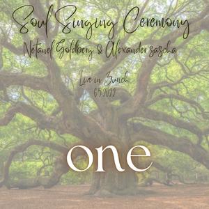 the one (feat. Sascha Alexander)