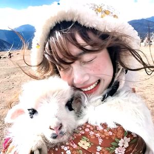 小仙女专属旋律