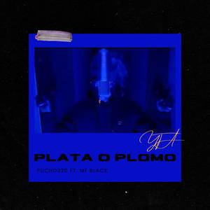 PLATA O PLOMO