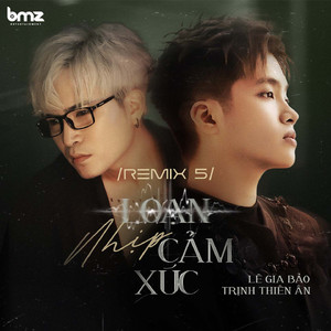 Loạn Nhịp Cảm Xúc (Hiron Remix)