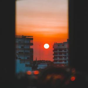 我是一只鱼