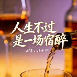 人生不过是一场宿醉